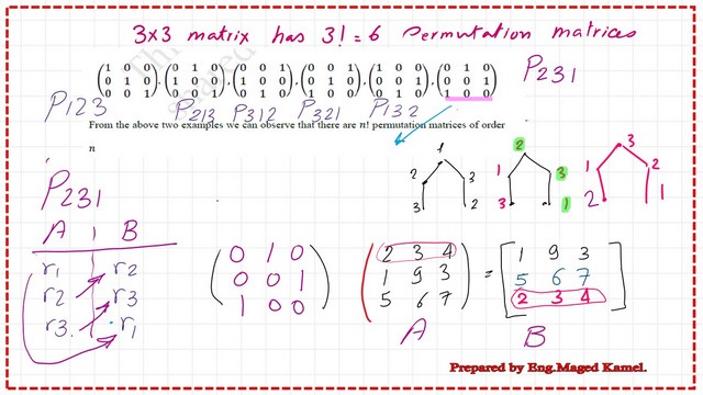 What is a permutation matrix P231?