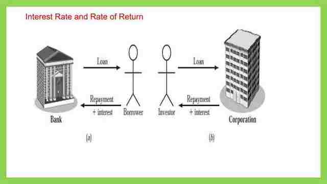 What is the difference between borrower and investor?